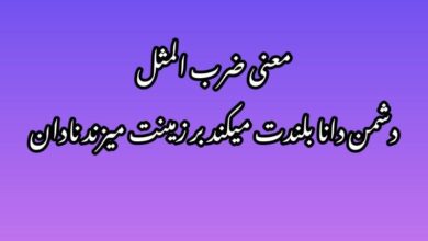 ضرب‌المثل_ دشمن_دانا_بلندت_میکند_بر_زمینت_میزند_نادان_دوست